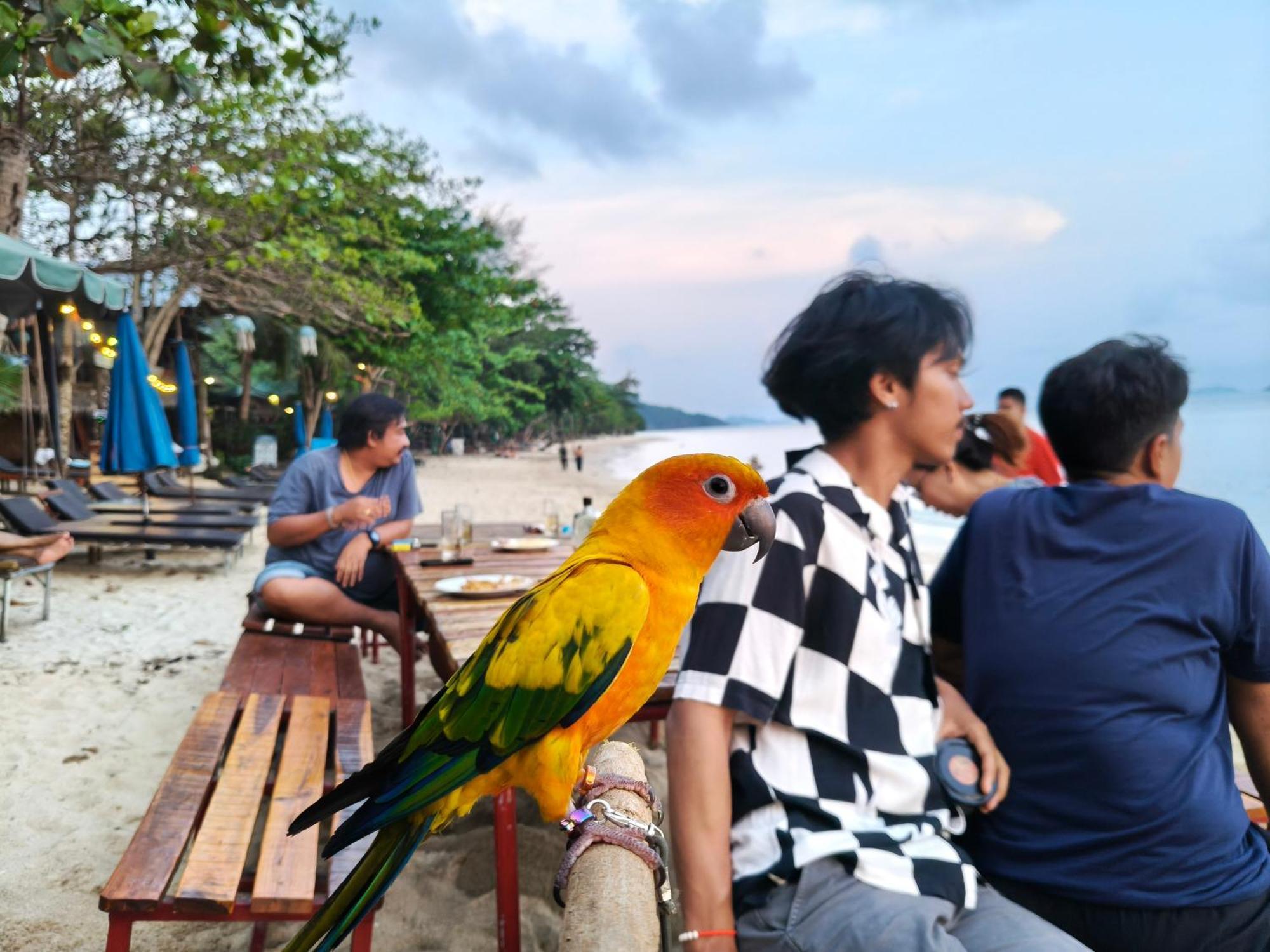 Yuyu Golden Beach Koh Chang Bagian luar foto